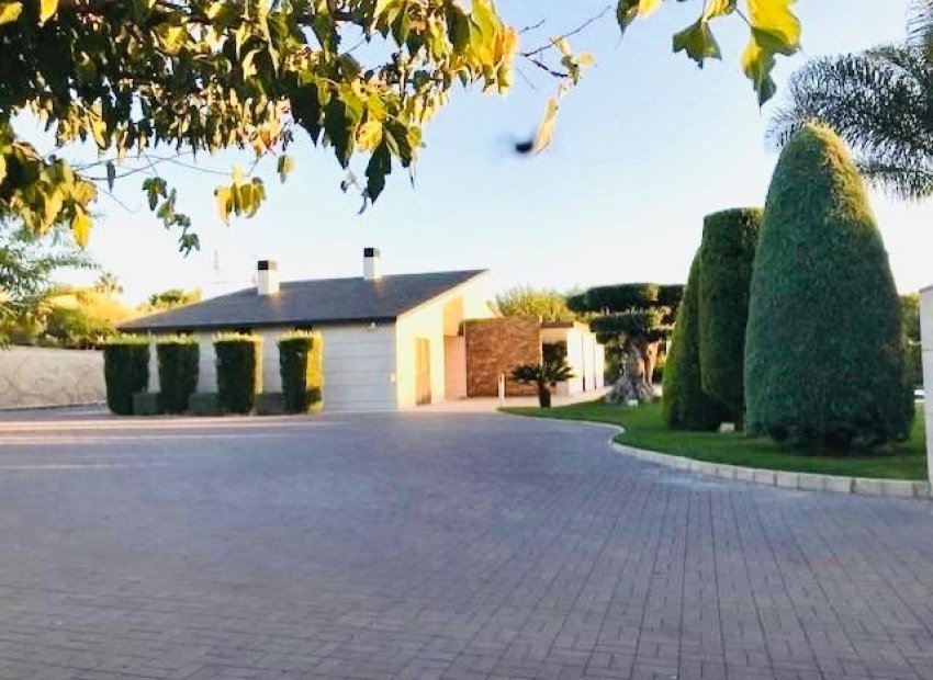 Alquiler a largo plazo - Chalet - Elche Pedanías - Matola