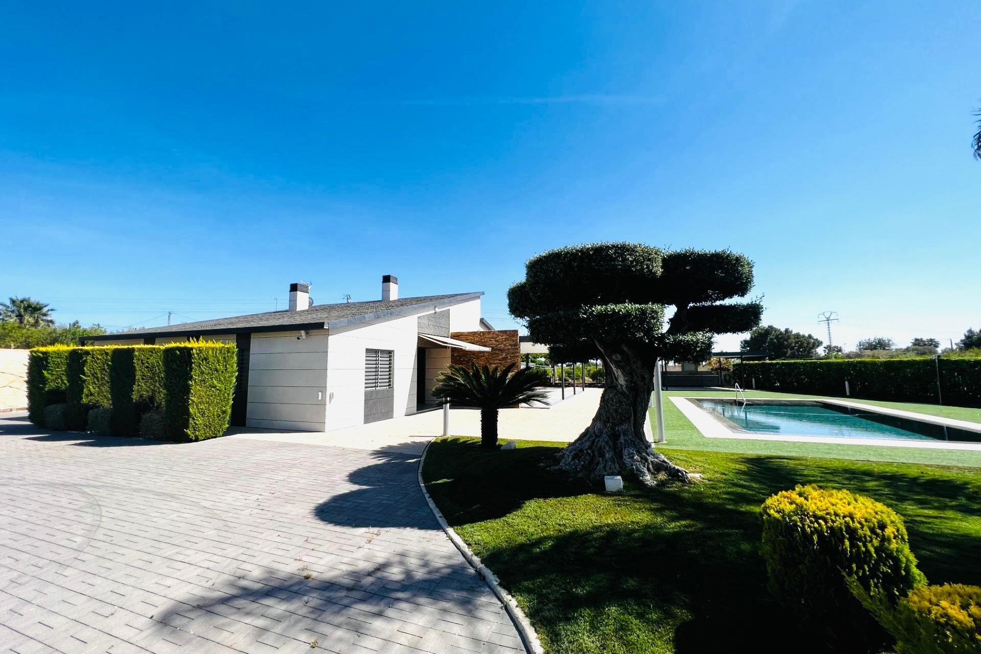 Alquiler a largo plazo - Chalet - Elche Pedanías - Matola
