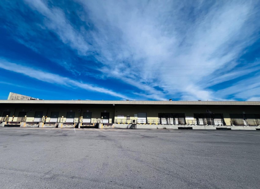 Alquiler a largo plazo - Nave industrial - Elche Pedanías - Matola