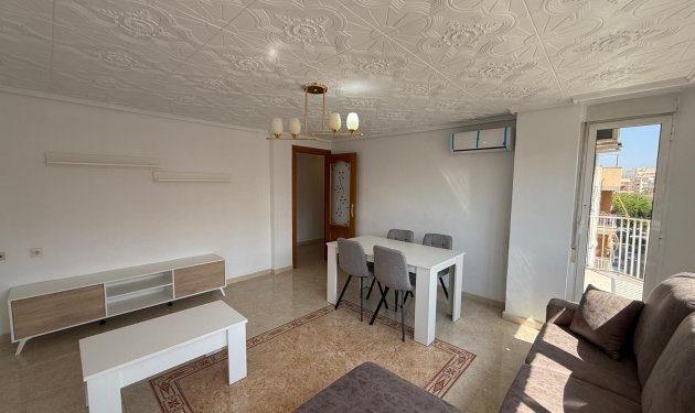 Apartament - Alquiler a largo plazo - Elche -
                Altabix