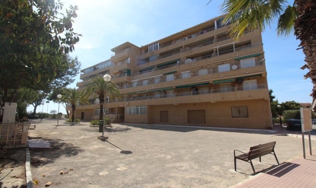 Apartament - Resale - Guardamar -
                Urbanizaciones /PLAYA