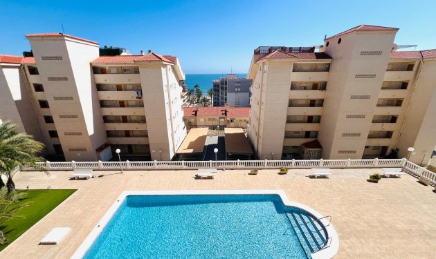 Apartamento - Odsprzedaż - Arenales del Sol -
                Arenales del Sol