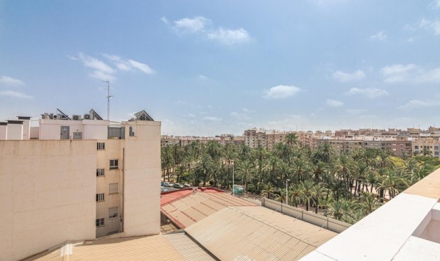 Apartamento - Odsprzedaż -
            Elche - GV-331
