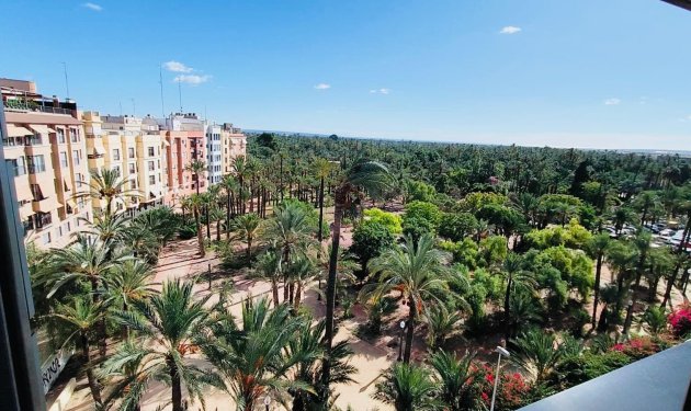 Ático - Reventa - Elche -
                Centro