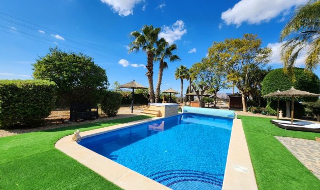 Chalet - Herverkoop - Orihuela -
                Molins-Campaneta-San Bartolomé