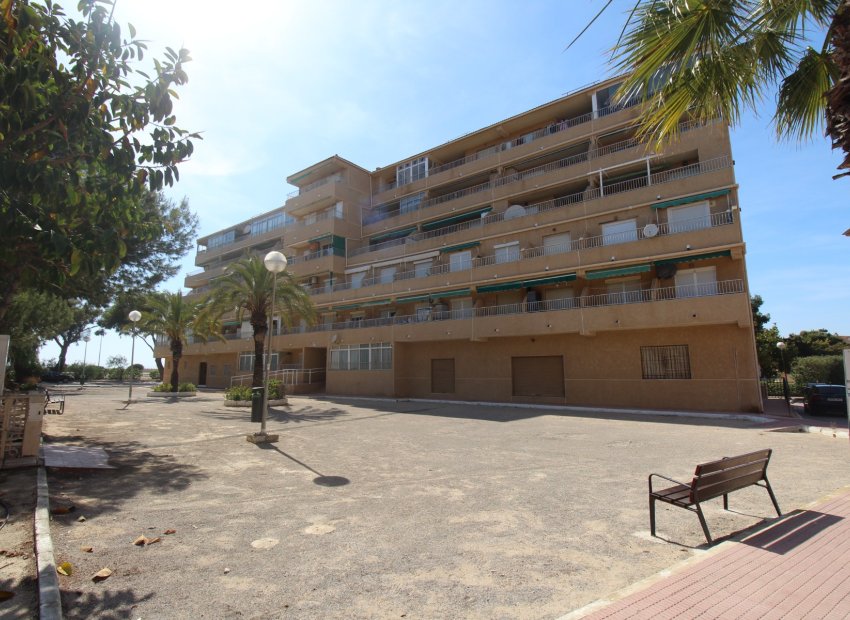 Herverkoop - Apartament - Guardamar - Urbanizaciones /PLAYA