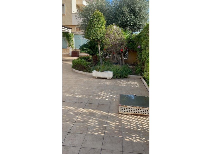 Herverkoop - Apartamento - Orihuela Costa - Campoamor