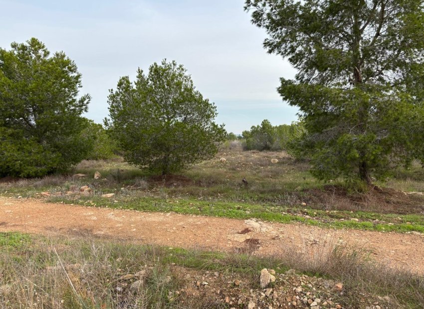 Herverkoop - Bungalow - Torrevieja - La Siesta - El Salado - Torreta