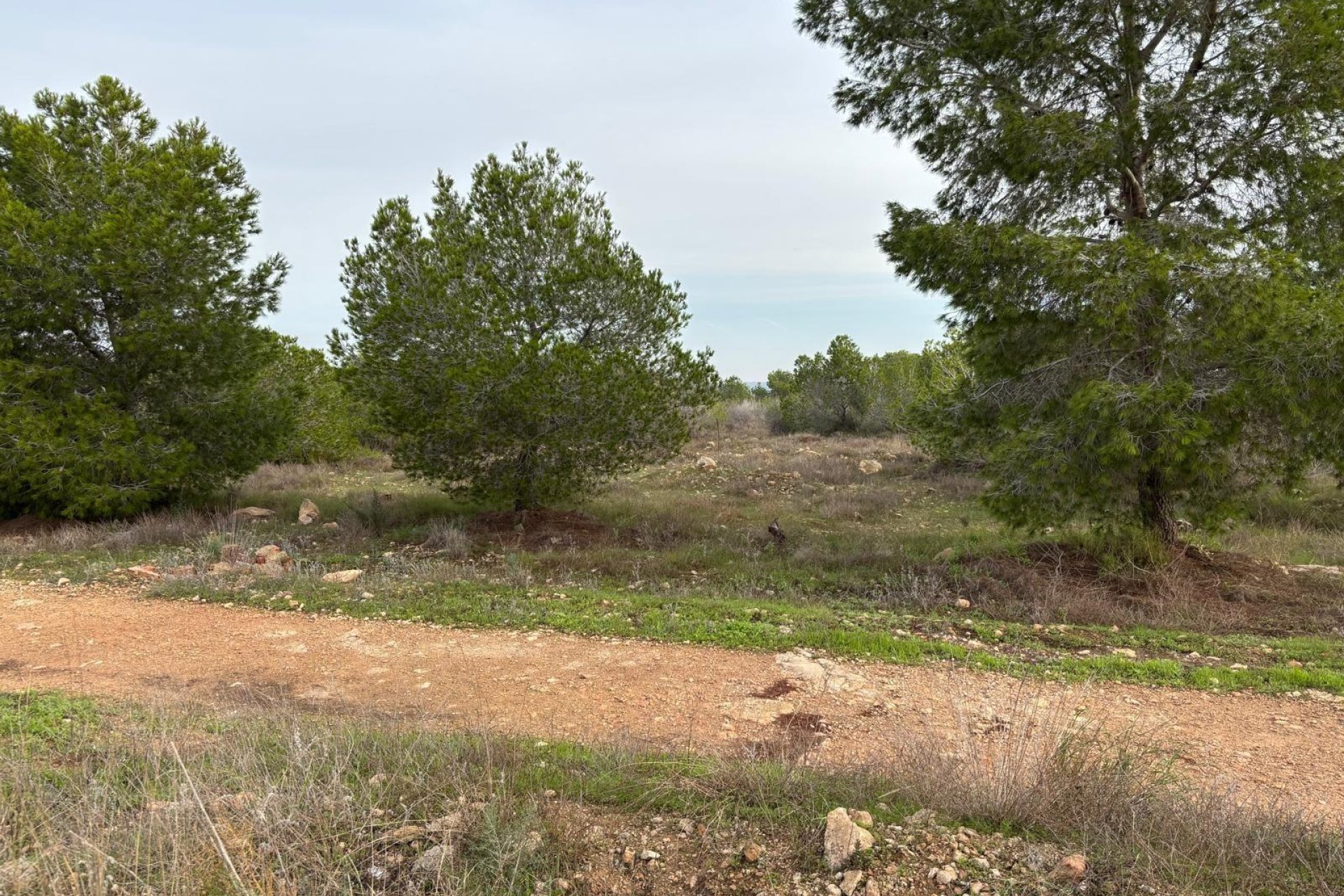 Herverkoop - Bungalow - Torrevieja - La Siesta - El Salado - Torreta