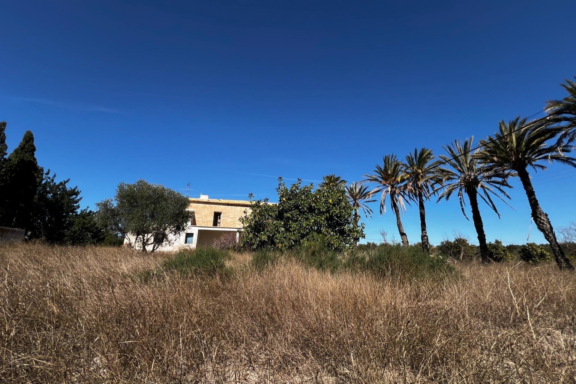 Herverkoop - Casa de campo - Elche Pedanías - Torreazul