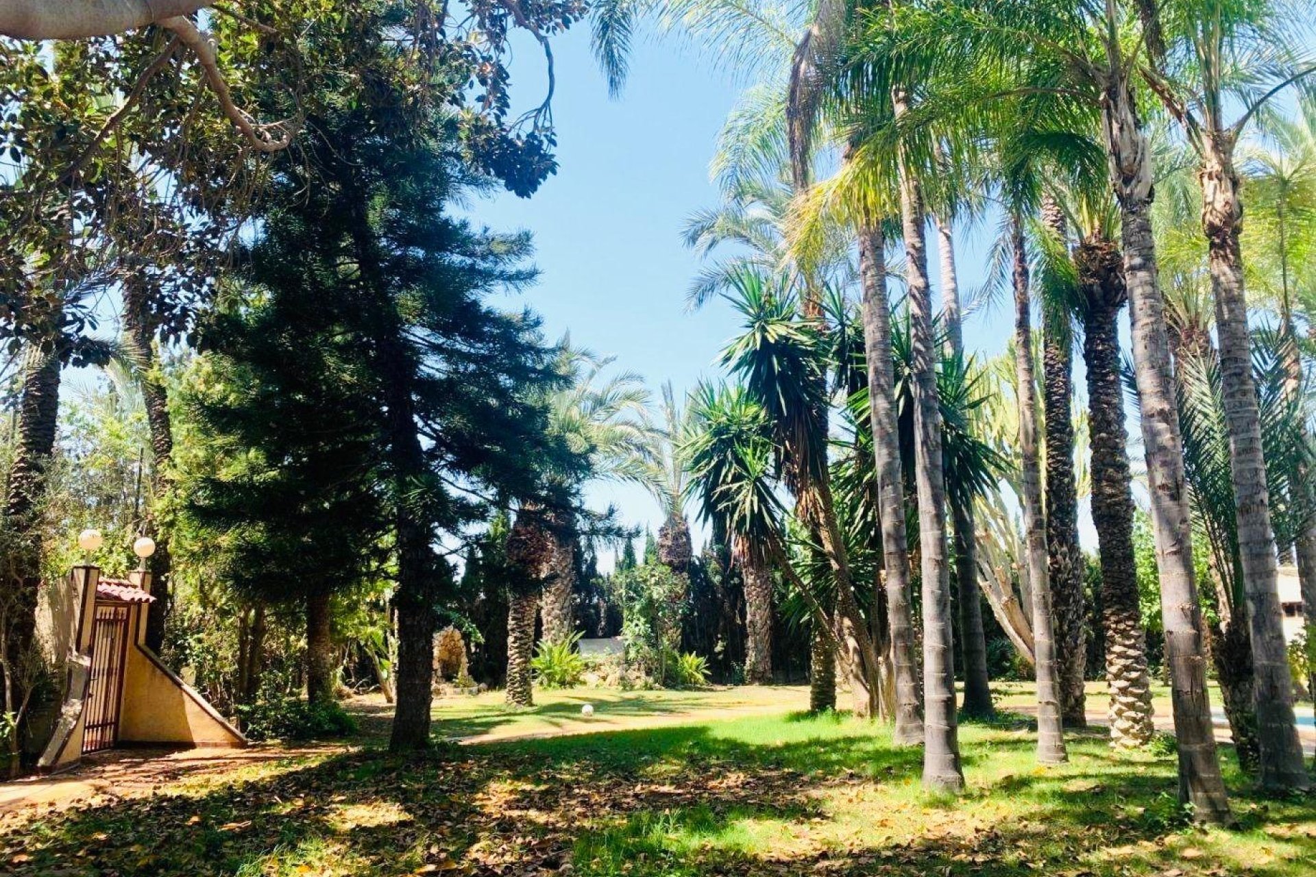 Herverkoop - Chalet - Elche Pedanías - Alzabares