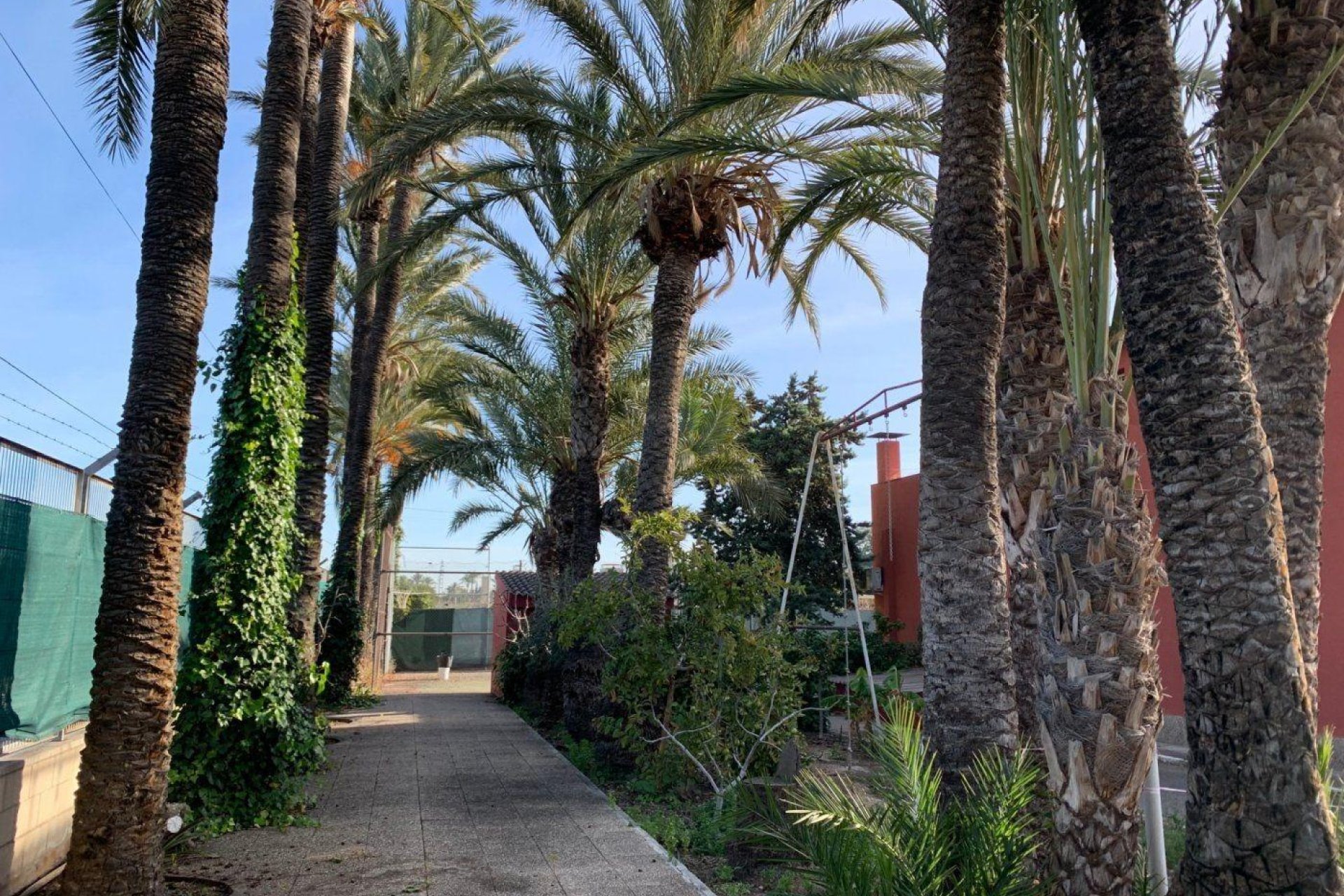 Herverkoop - Chalet - Elche Pedanías - Alzabares