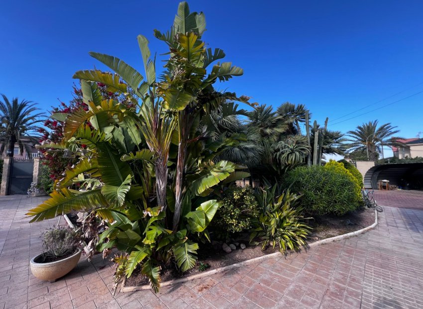 Herverkoop - Chalet - Elche Pedanías - Valverde