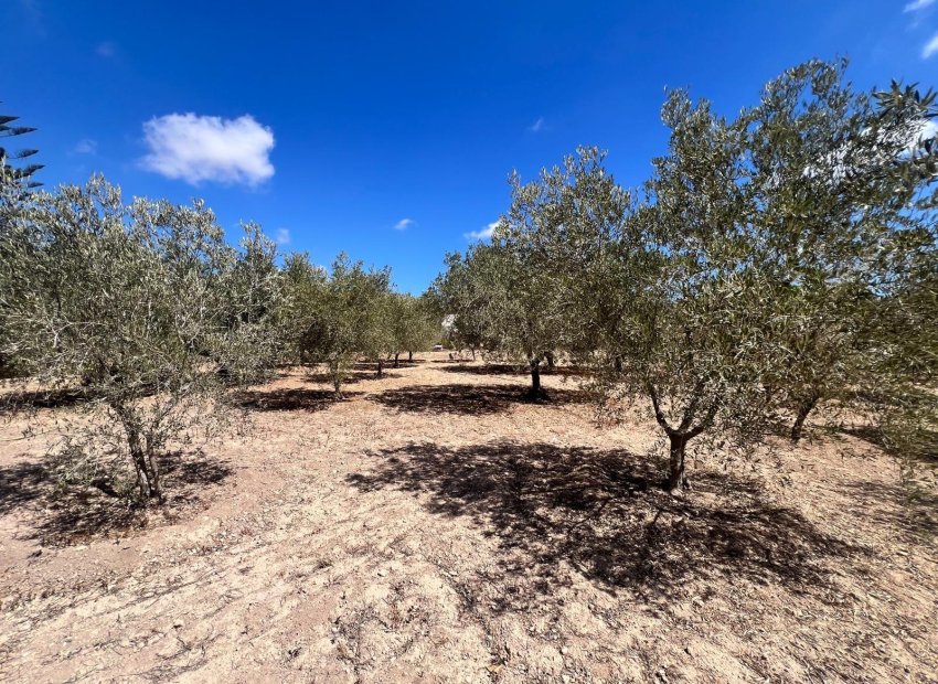 Herverkoop - Chalet - Elche Pedanías - Valverde