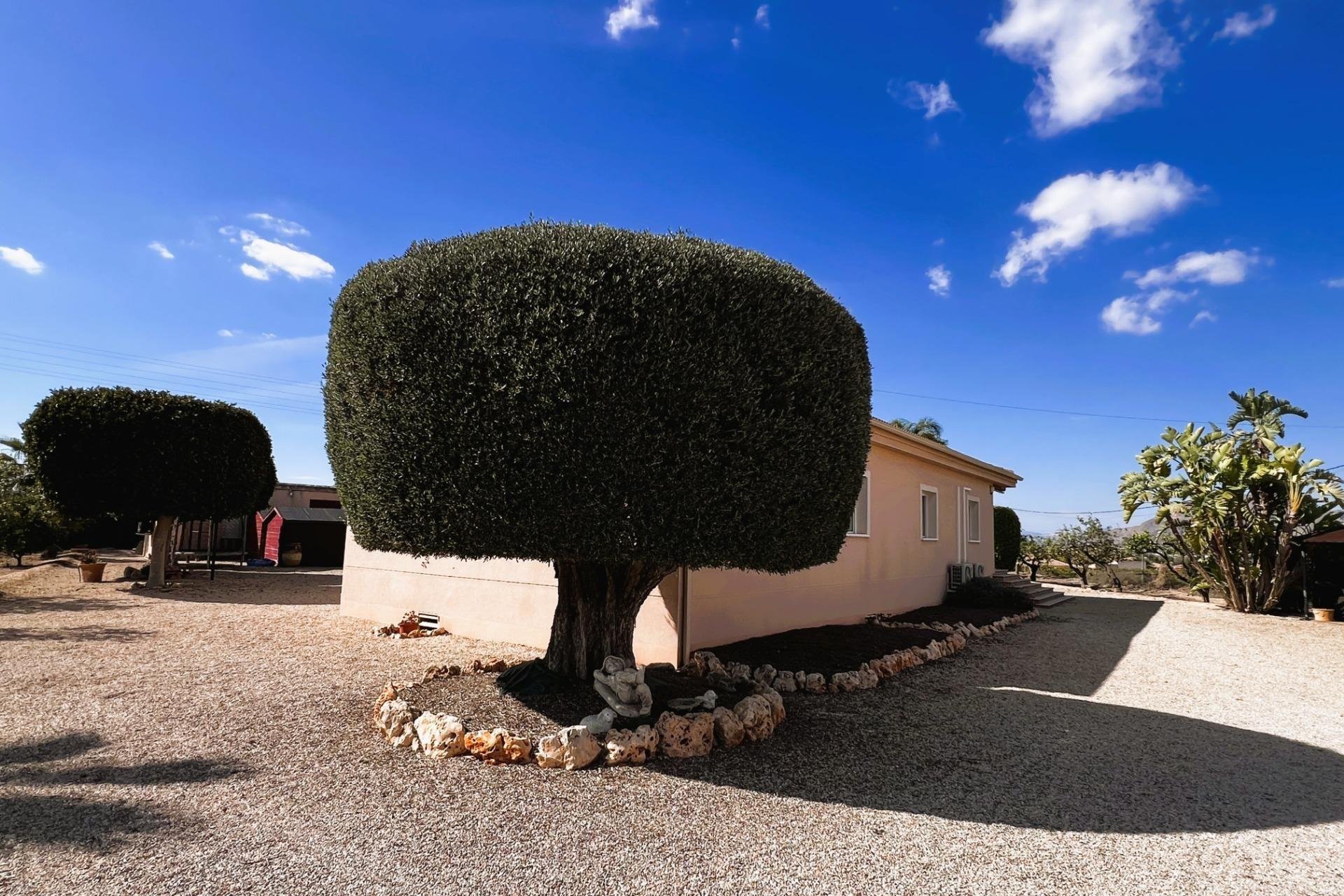 Herverkoop - Chalet - Orihuela - Molins-Campaneta-San Bartolomé