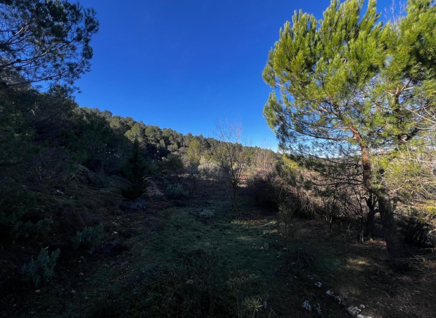 Herverkoop - Finca rústica - Bocairent - Sierra de Mariola