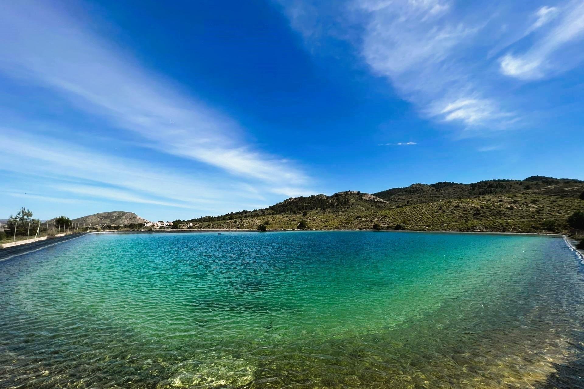 Herverkoop - Finca rústica - Monovar - Monover - Beties