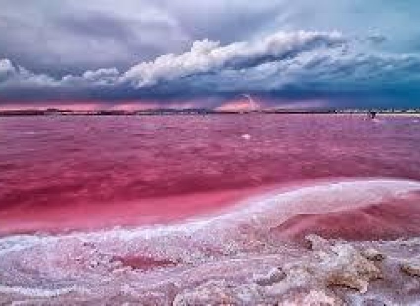 Herverkoop - Penthouse - Torrevieja - Playa de los Locos