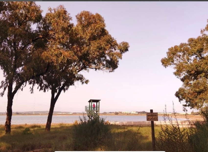 Herverkoop - Piso - Torrevieja - Playa de la mata