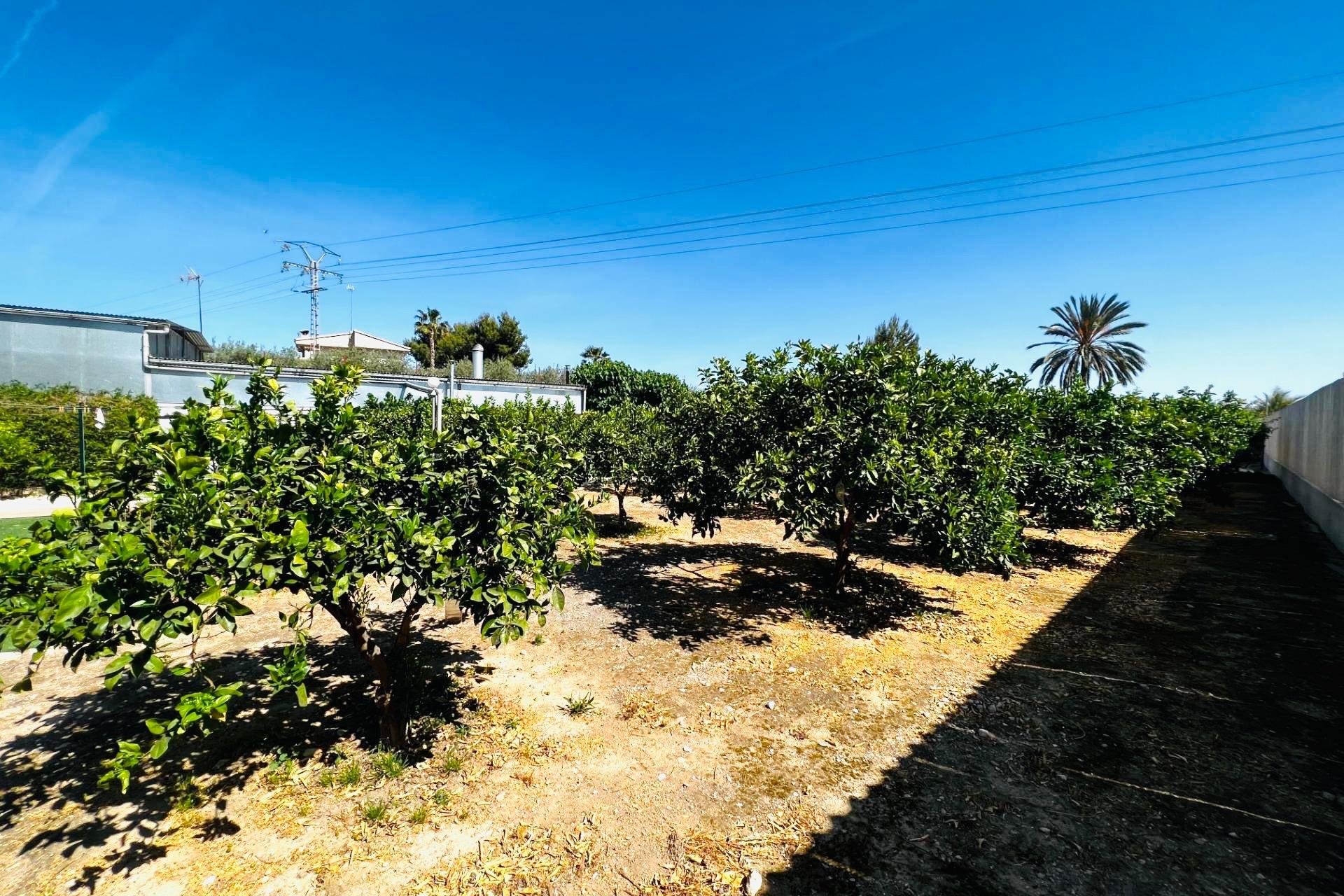 Lange Termijn Verhuur - Chalet - Elche Pedanías - Matola