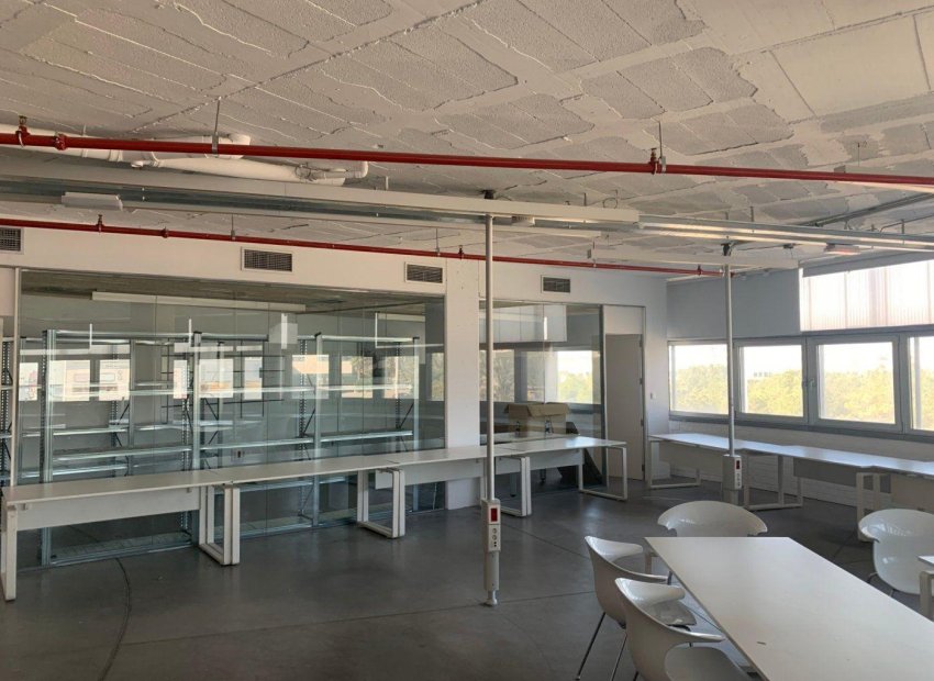 Lange Termijn Verhuur - Oficina - Elche Pedanías - Poligono torrellano