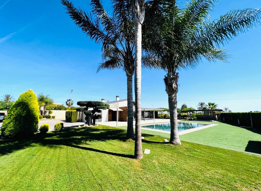 Long Term Rental - Chalet - Elche Pedanías - Matola