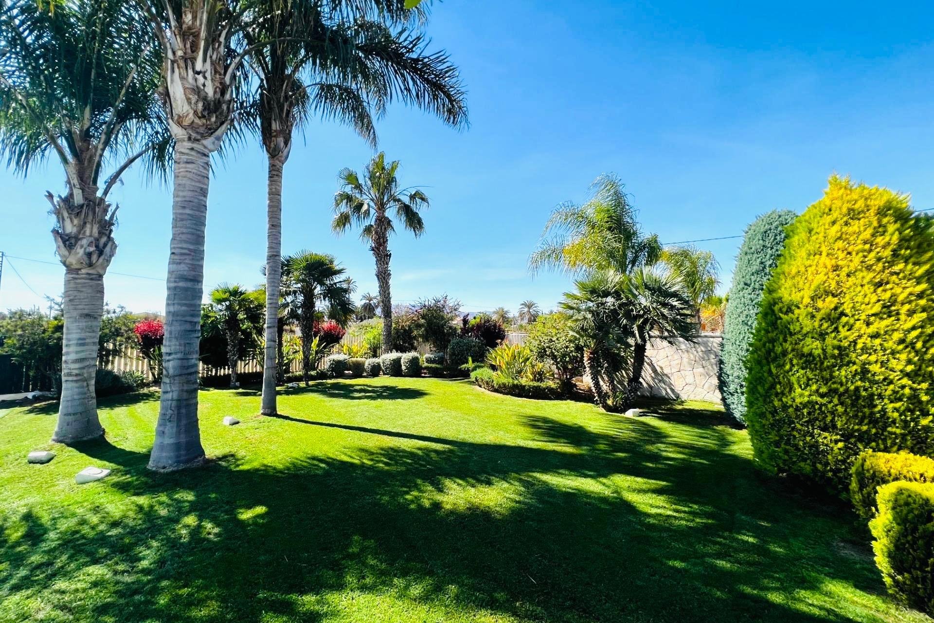 Long Term Rental - Chalet - Elche Pedanías - Matola