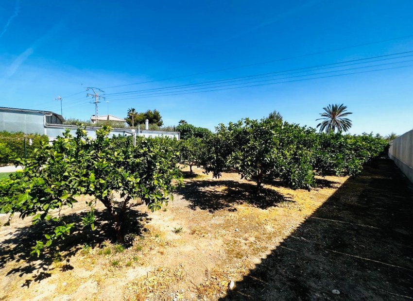 Long Term Rental - Chalet - Elche Pedanías - Matola