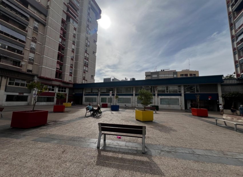 Long Term Rental - Local comercial - Elche - Asilo - Pisos Azules