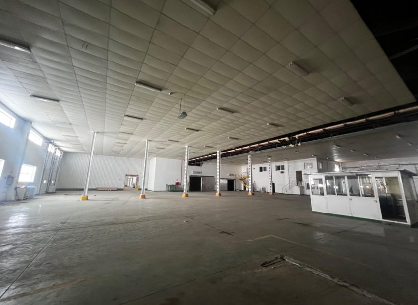 Long Term Rental - Nave industrial - Alicante - Llano del espartal