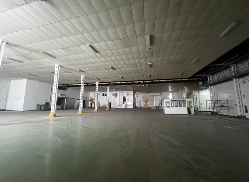 Long Term Rental - Nave industrial - Alicante - Llano del espartal
