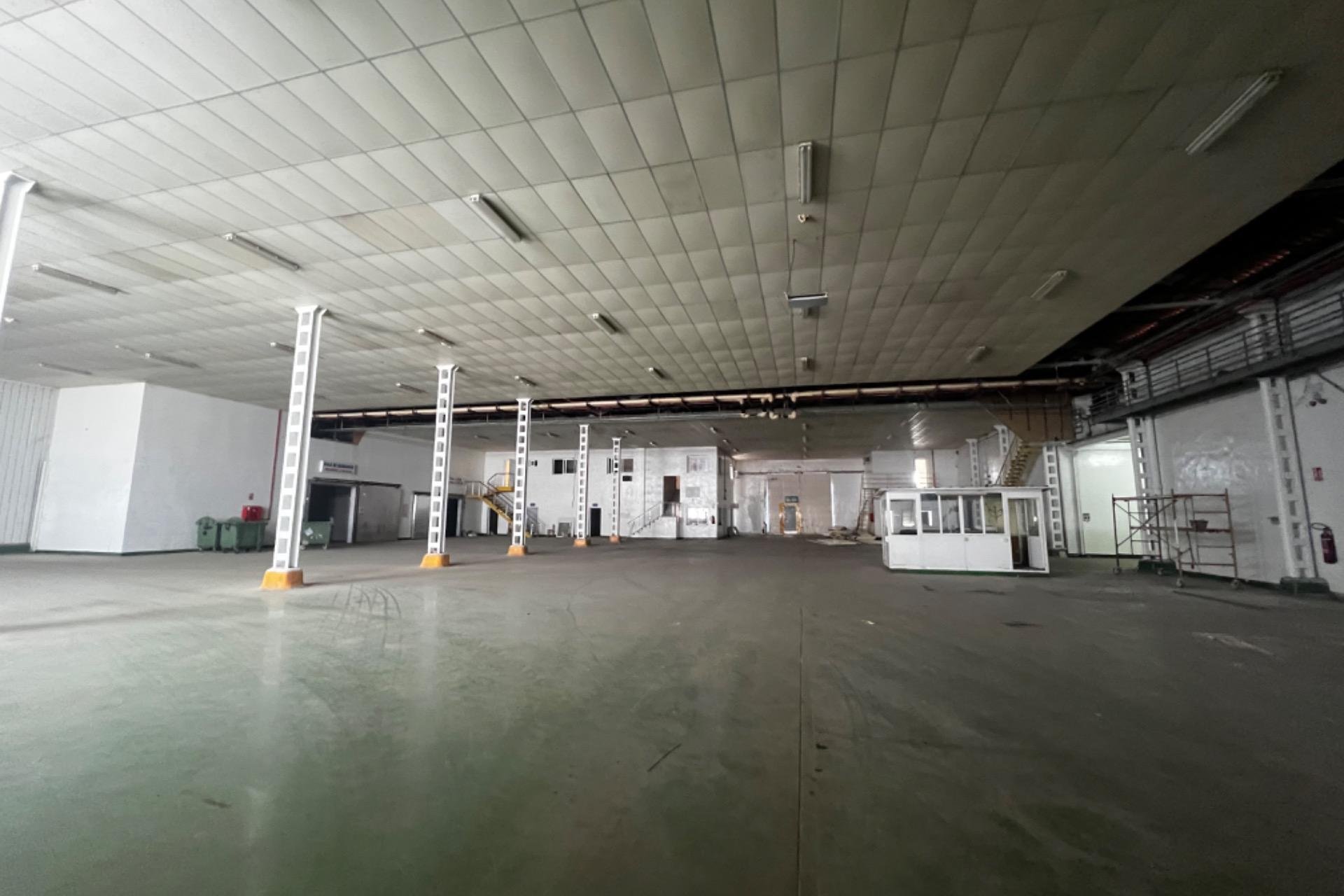 Long Term Rental - Nave industrial - Alicante - Llano del espartal