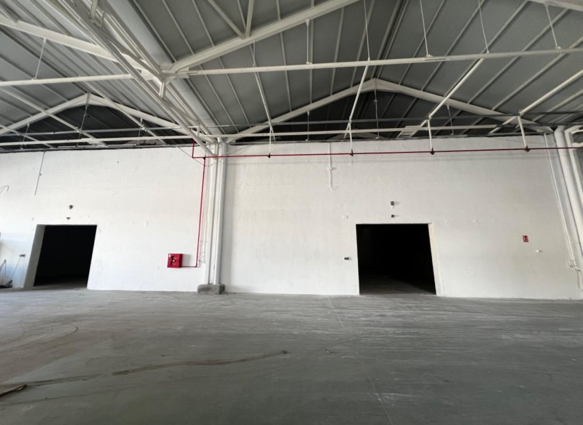 Long Term Rental - Nave industrial - Alicante - Llano del espartal
