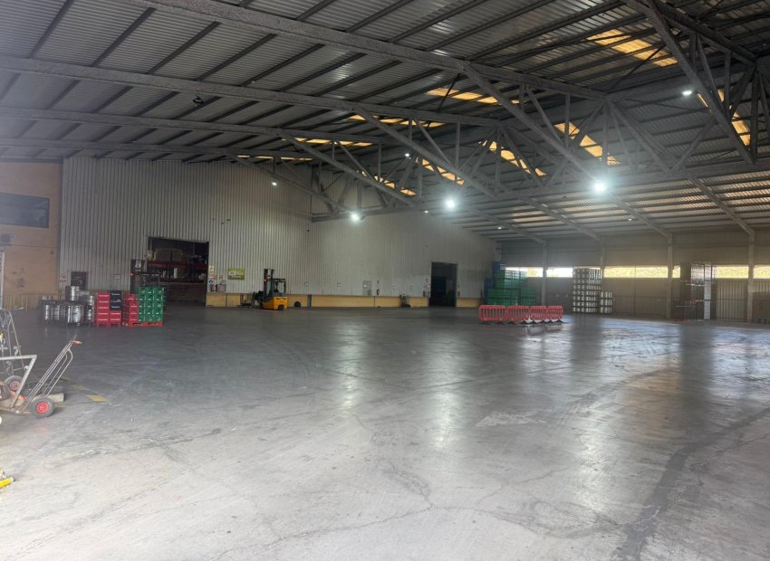 Long Term Rental - Nave industrial - Alicante - Poligono de atalayas