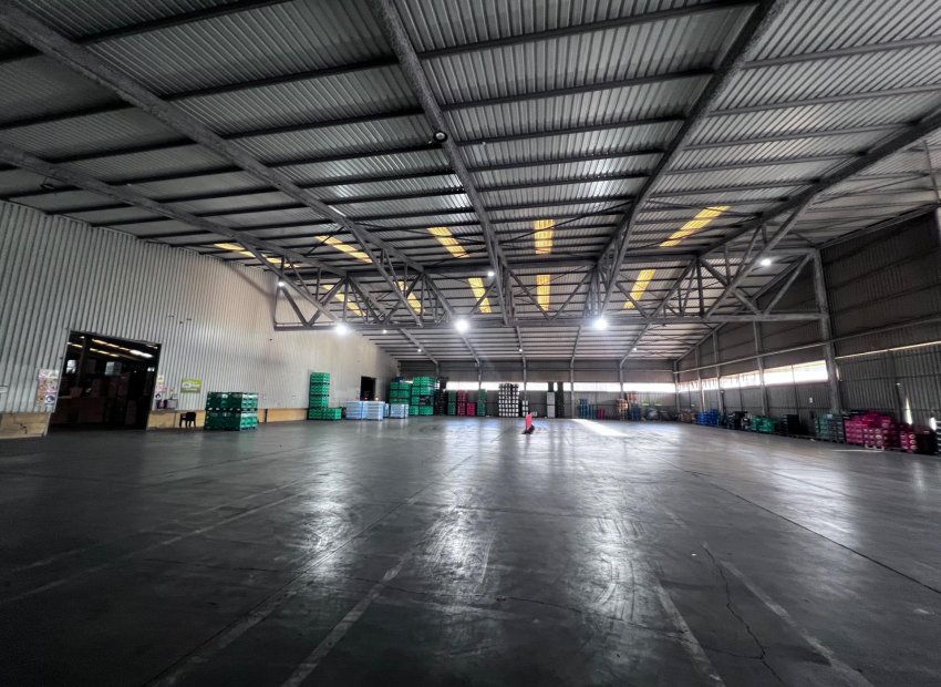 Long Term Rental - Nave industrial - Alicante - Poligono de atalayas