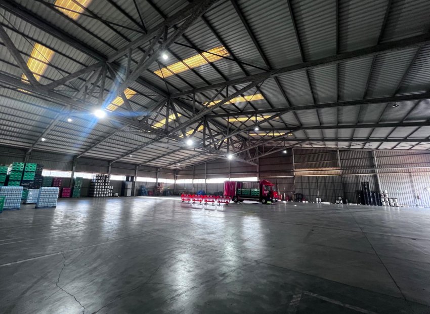 Long Term Rental - Nave industrial - Alicante - Poligono de atalayas