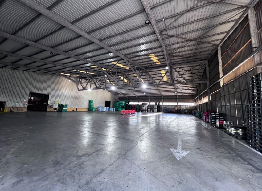 Long Term Rental - Nave industrial - Alicante - Poligono de atalayas