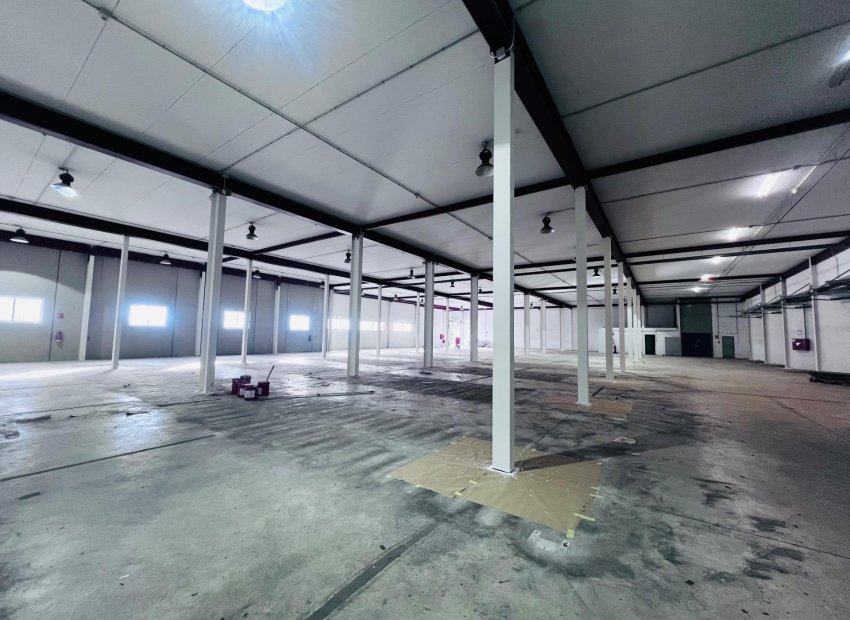 Long Term Rental - Nave industrial - Elche Pedanías - Matola