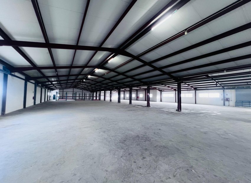 Long Term Rental - Nave industrial - Elche Pedanías - Matola