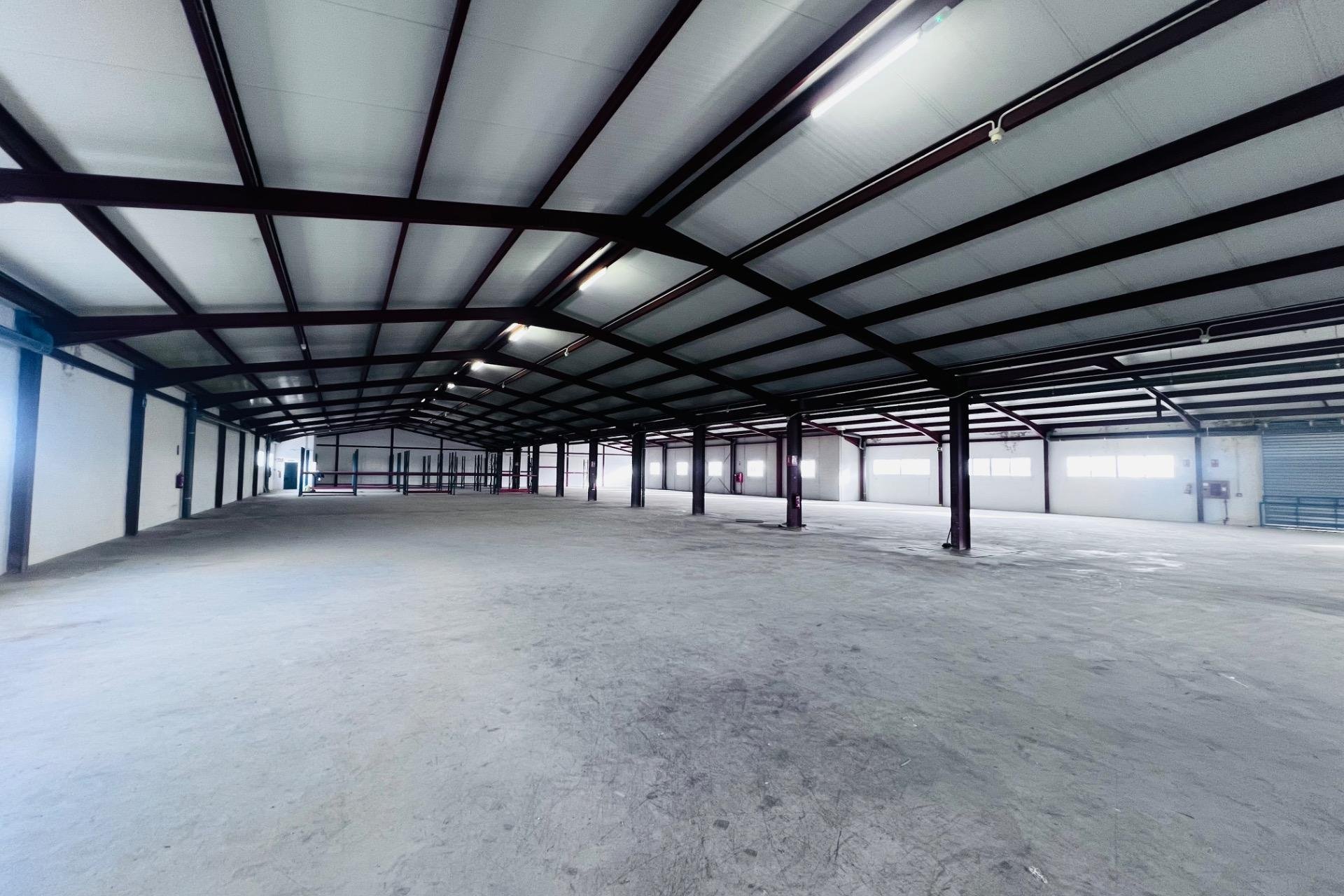Long Term Rental - Nave industrial - Elche Pedanías - Matola