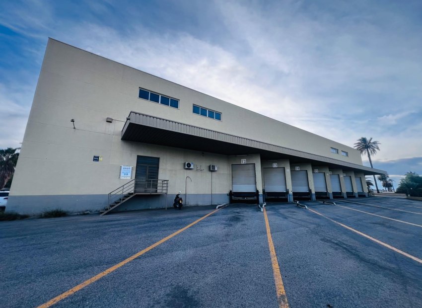 Long Term Rental - Nave industrial - Elche Pedanías - Matola
