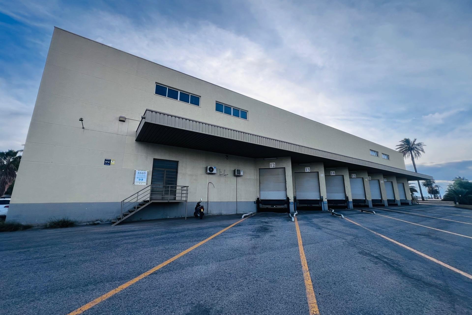 Long Term Rental - Nave industrial - Elche Pedanías - Matola