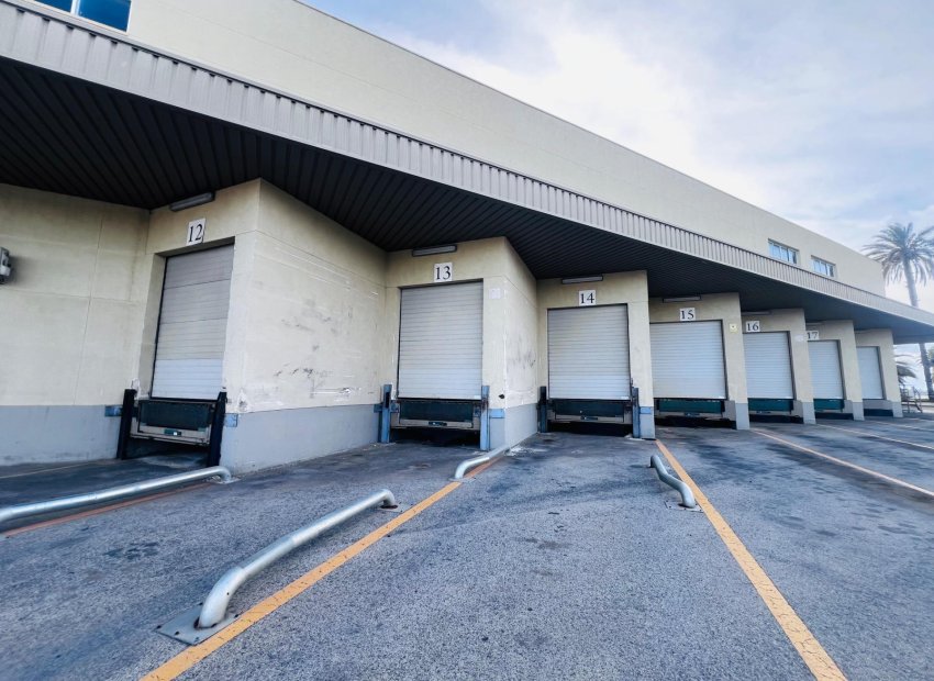Long Term Rental - Nave industrial - Elche Pedanías - Matola