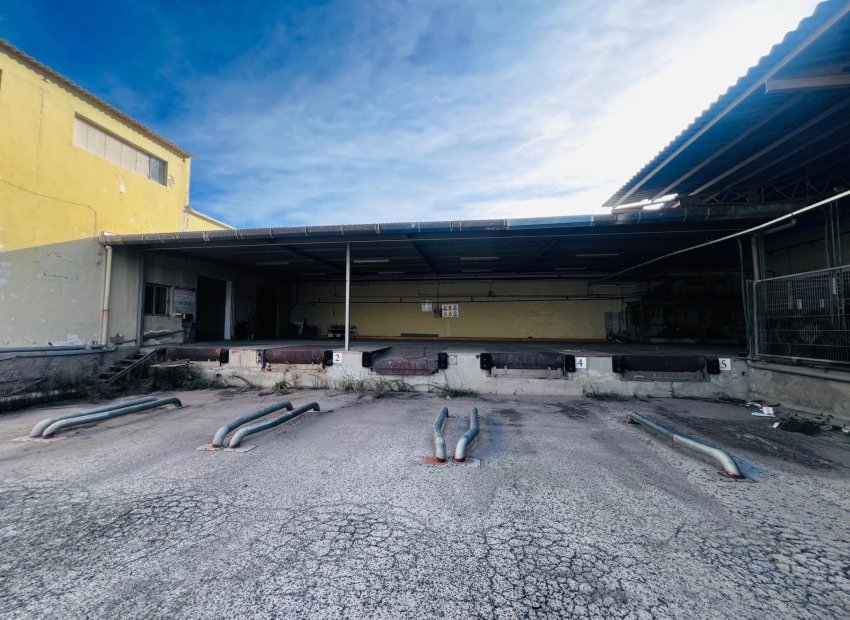 Long Term Rental - Nave industrial - Elche Pedanías - Matola