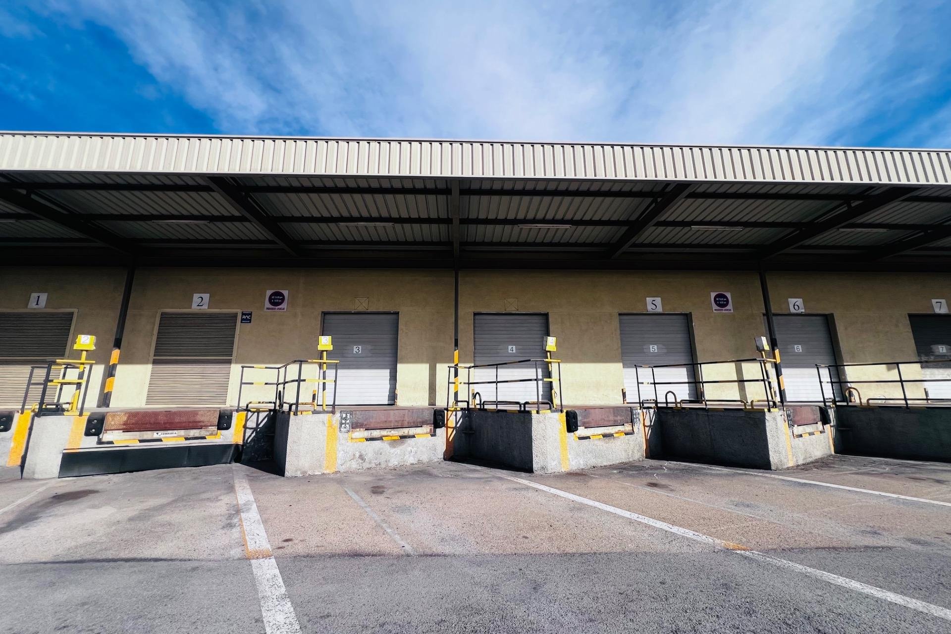 Long Term Rental - Nave industrial - Elche Pedanías - Matola