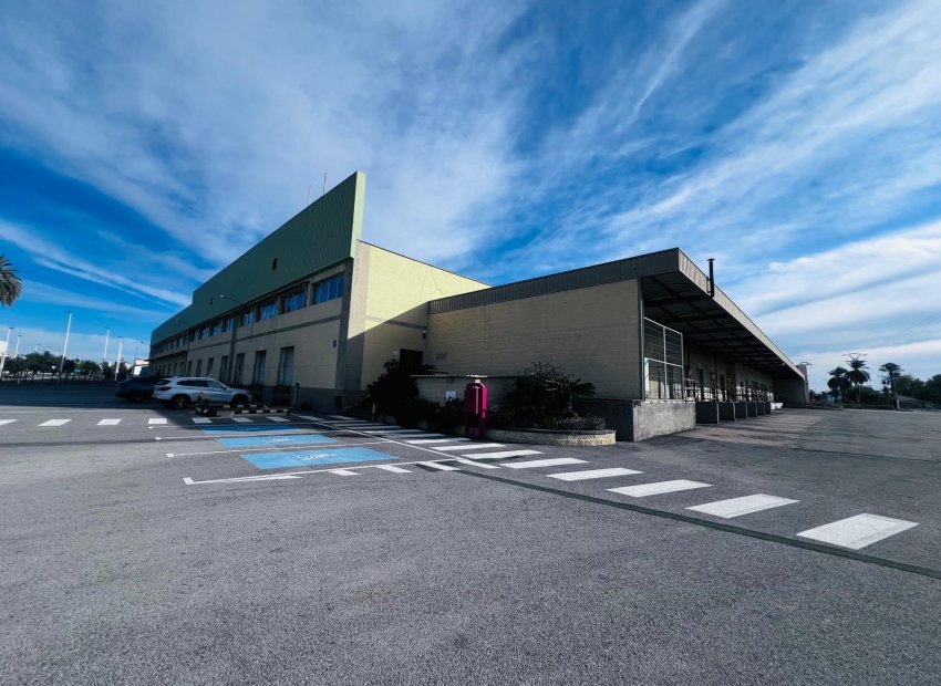 Long Term Rental - Nave industrial - Elche Pedanías - Matola