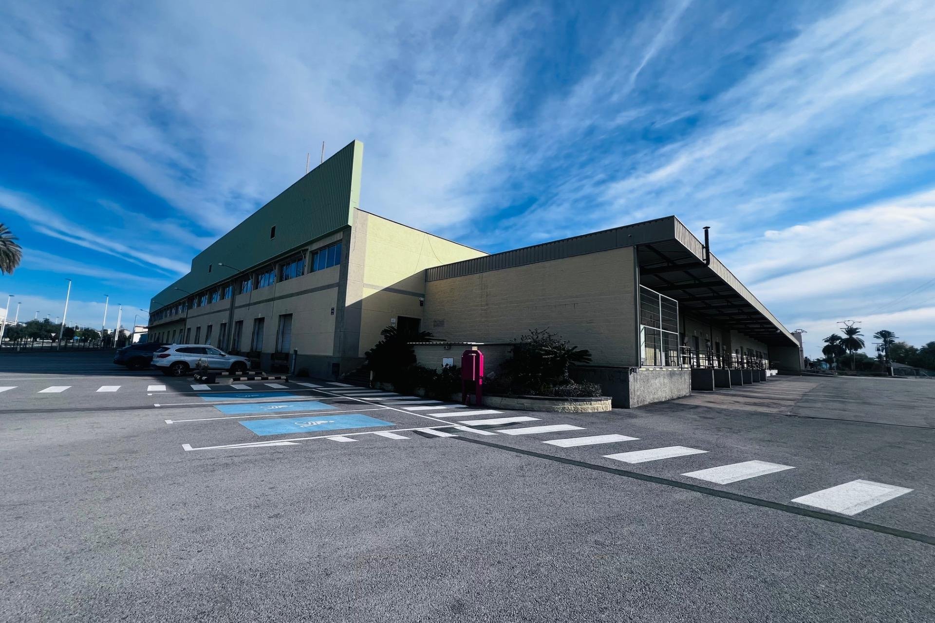 Long Term Rental - Nave industrial - Elche Pedanías - Matola