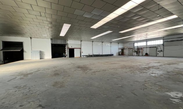 Nave industrial - Resale - Elche -
                Elche