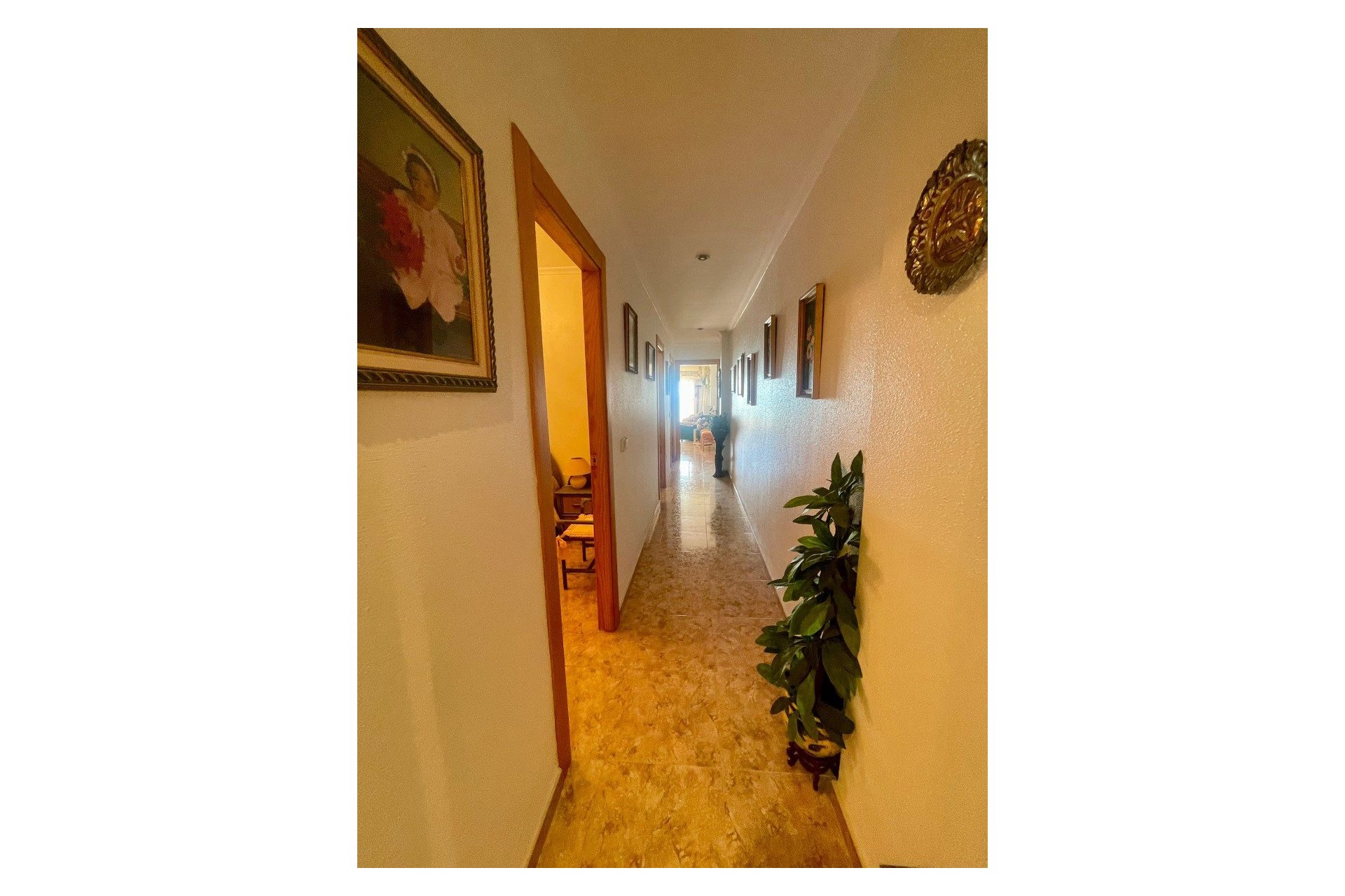 Odsprzedaż - Apartament - La Mata - Centro/PLAYA