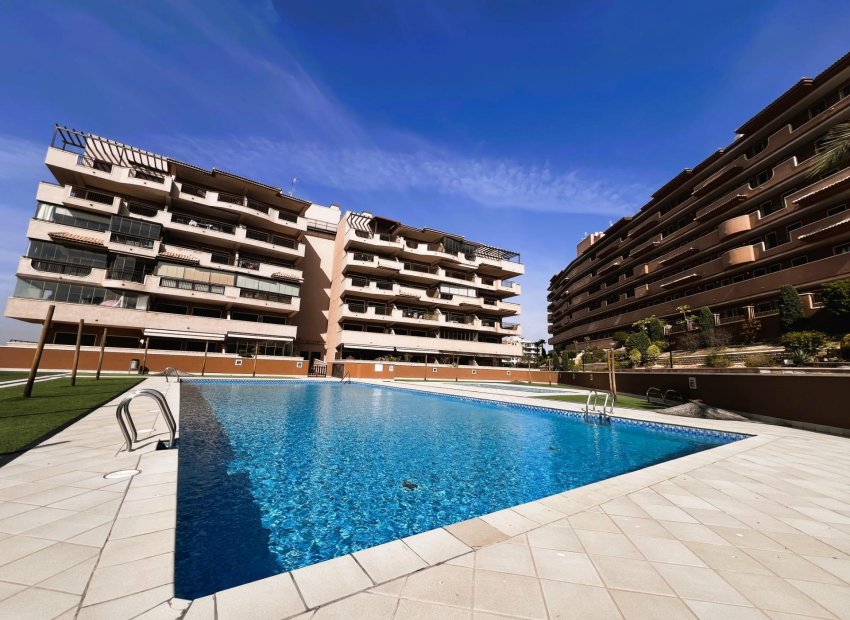 Odsprzedaż - Apartamento - Arenales del Sol